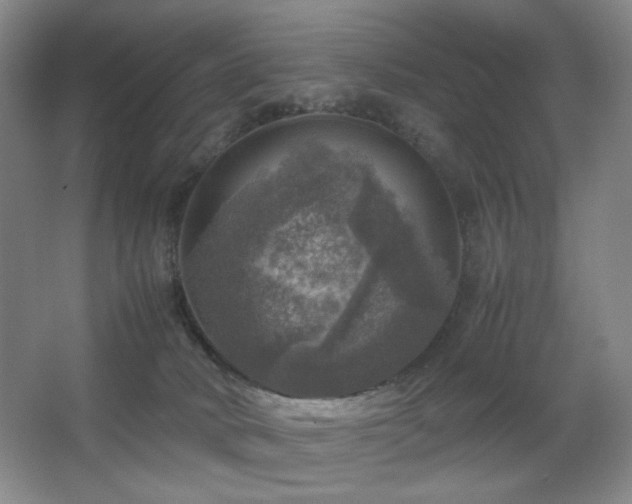 X0000067890034200604131340