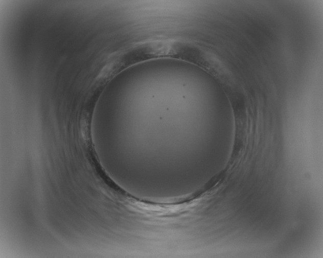 X0000067890035200604131340