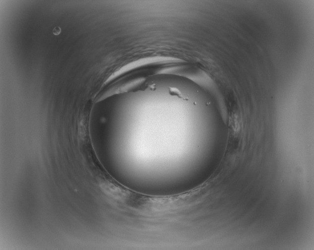 X0000067890037200604131340