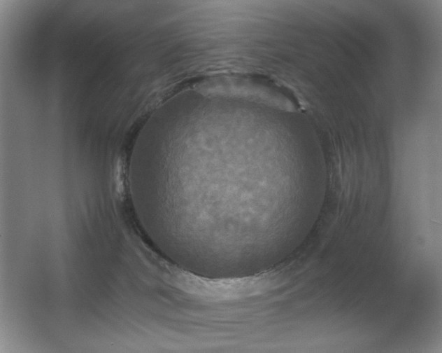 X0000067890038200604131340