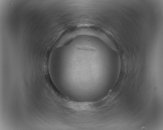 X0000067890040200604131340