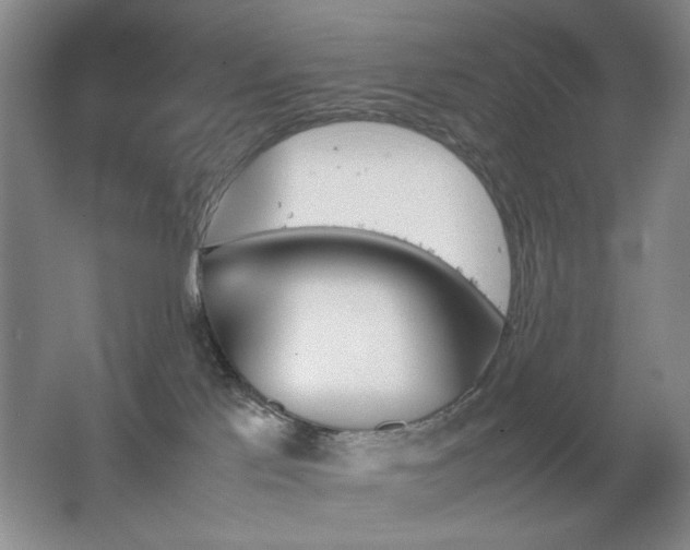 X0000067890041200604131340