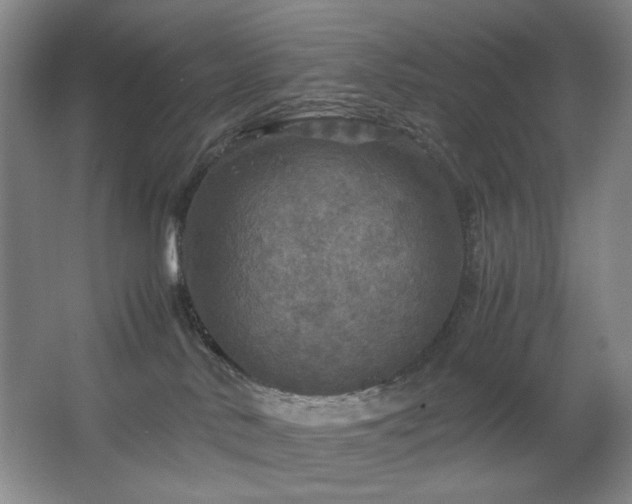 X0000067890042200604131340