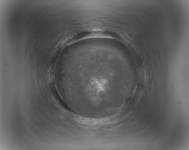 X0000067890043200604131340