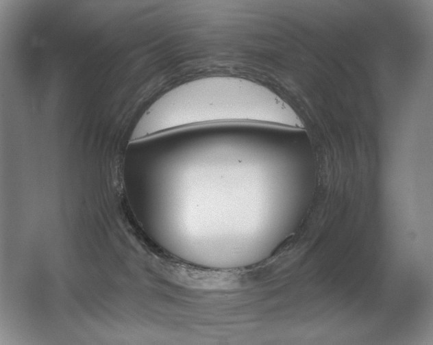 X0000067890044200604131340