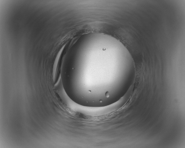 X0000067890045200604131340