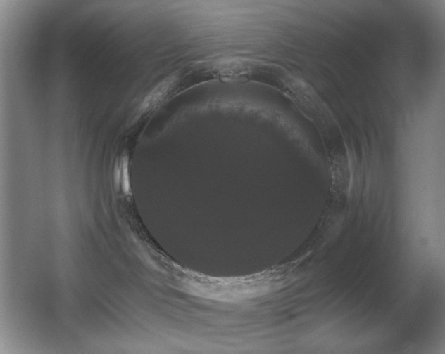 X0000067890046200604131340