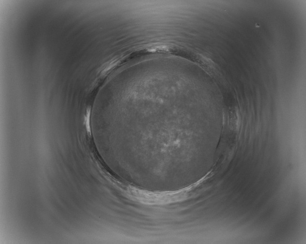 X0000067890047200604131340