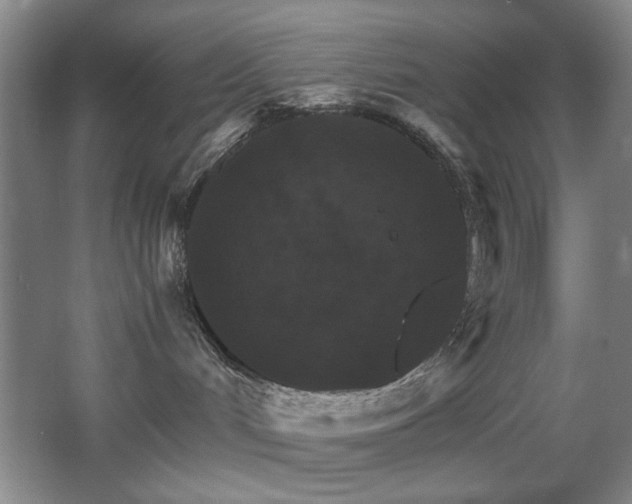 X0000067890048200604131340