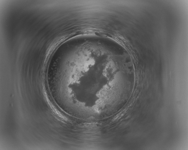 X0000067890049200604131339