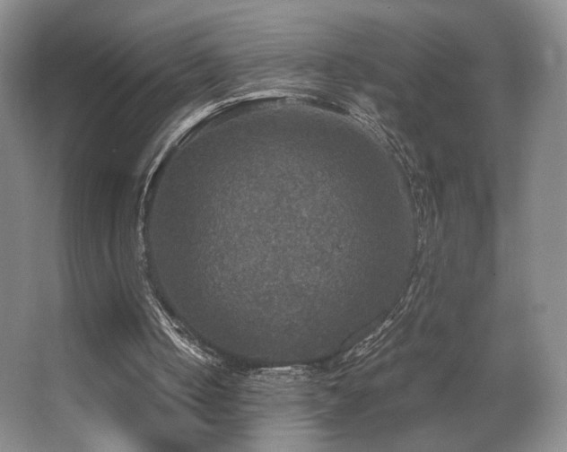 X0000067890050200604131339