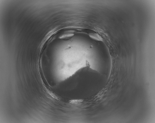 X0000067890051200604131339