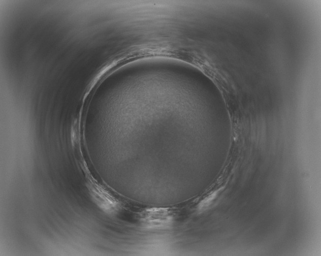 X0000067890052200604131339