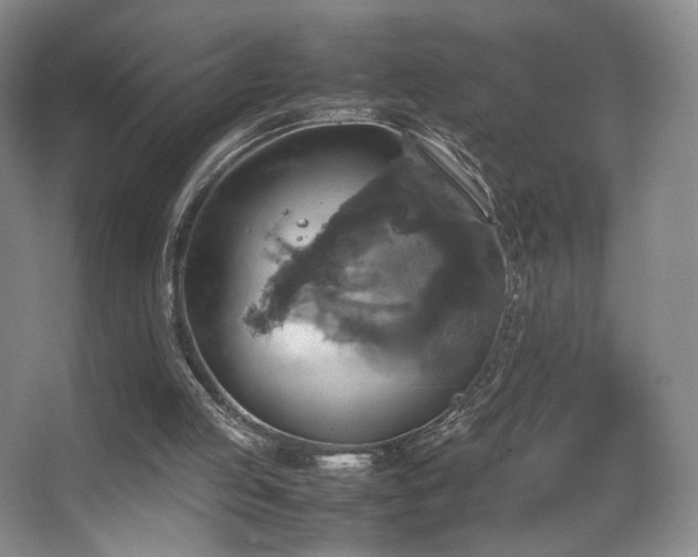 X0000067890053200604131339