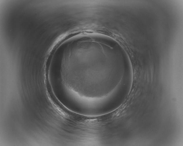 X0000067890054200604131339