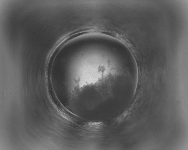 X0000067890055200604131339