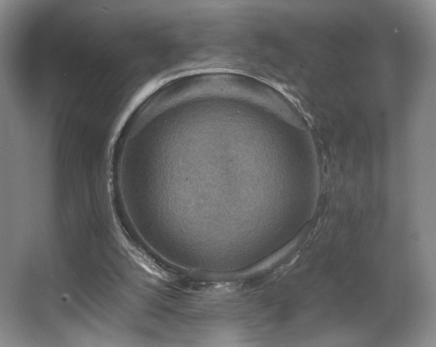 X0000067890056200604131339