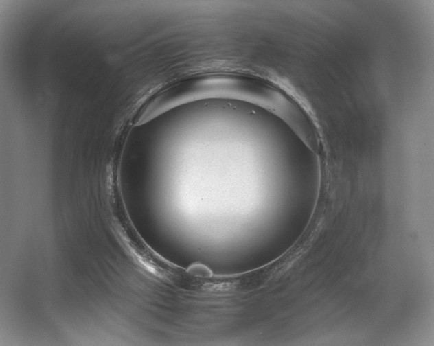 X0000067890057200604131339