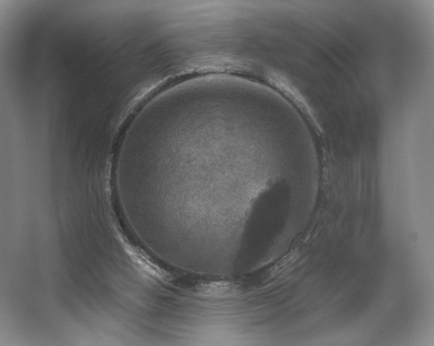 X0000067890058200604131339