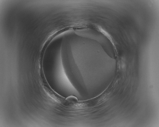 X0000067890059200604131339