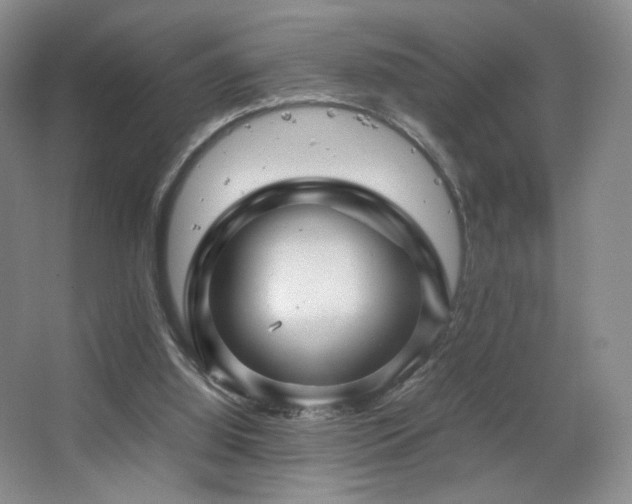 X0000067890060200604131339