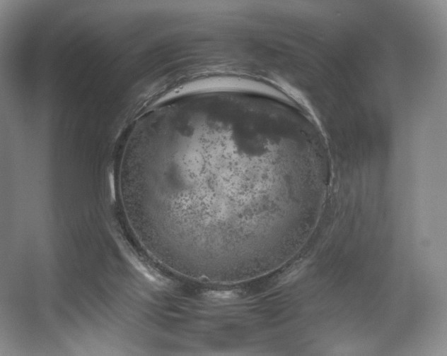 X0000067890061200604131339