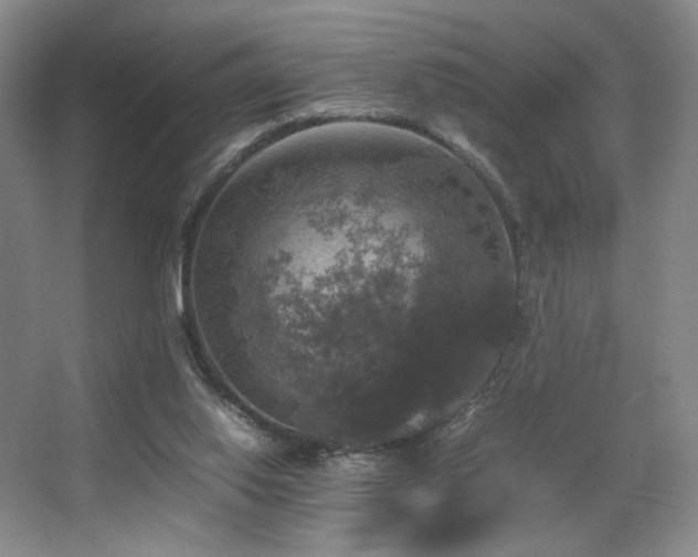 X0000067890062200604131339