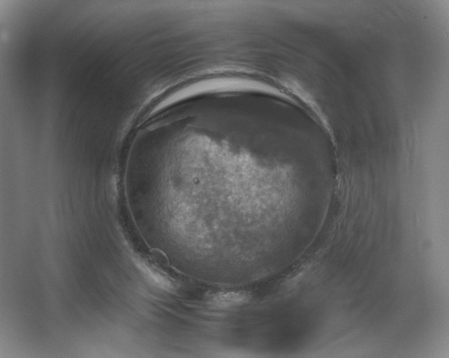 X0000067890063200604131339