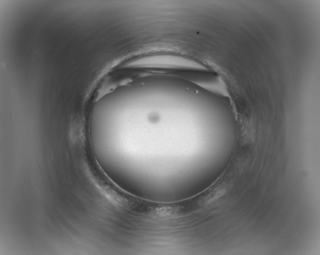 X0000067890064200604131339