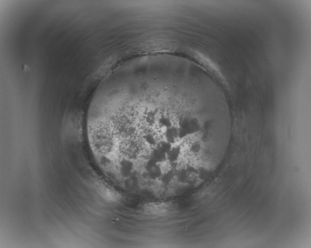 X0000067890065200604131339