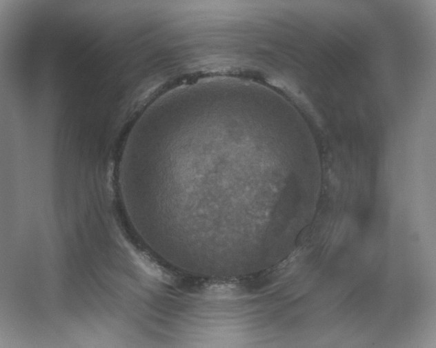 X0000067890066200604131339