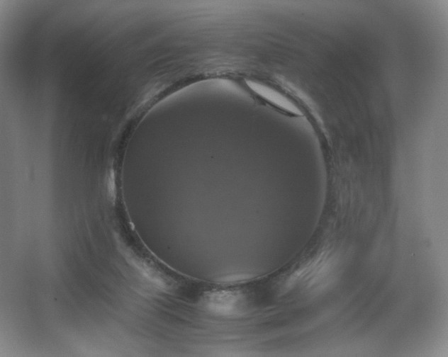 X0000067890067200604131339