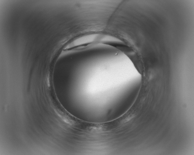 X0000067890068200604131339