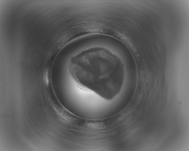 X0000067890069200604131339