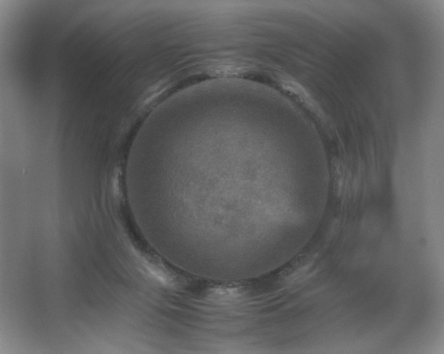 X0000067890071200604131339