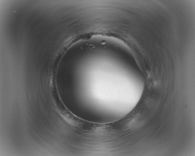 X0000067890072200604131339