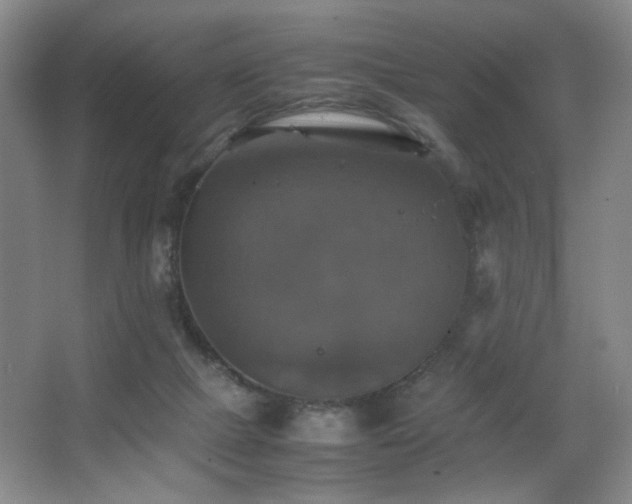 X0000067890073200604131339