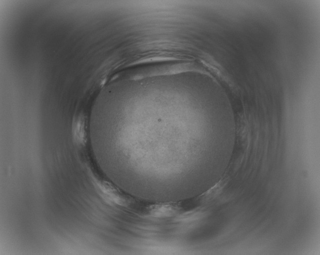 X0000067890074200604131339