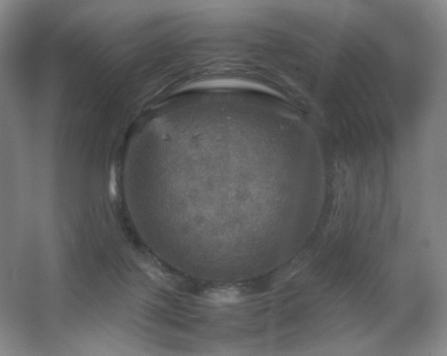 X0000067890075200604131339