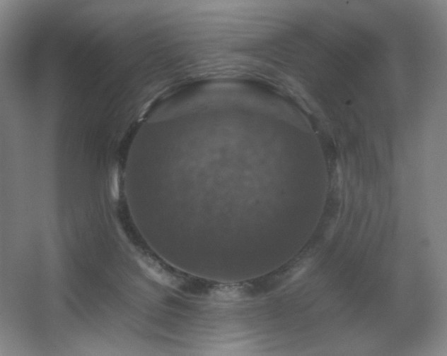 X0000067890076200604131339