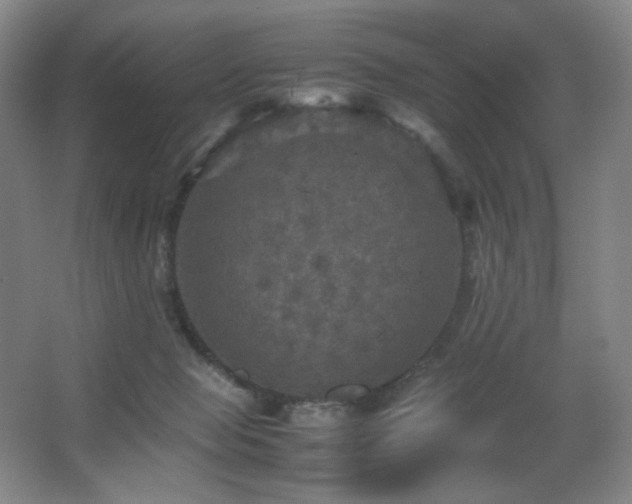 X0000067890077200604131339