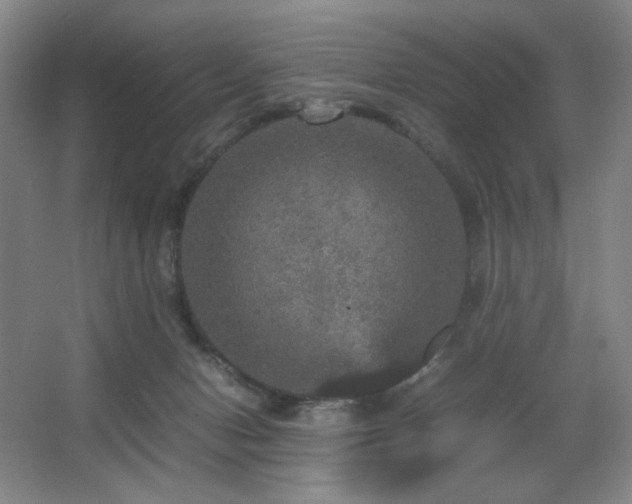 X0000067890078200604131339