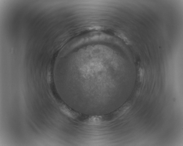 X0000067890080200604131339