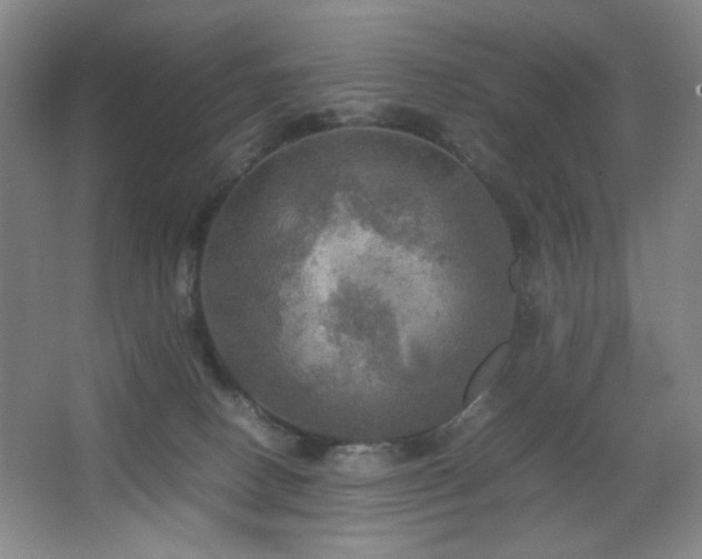 X0000067890082200604131339