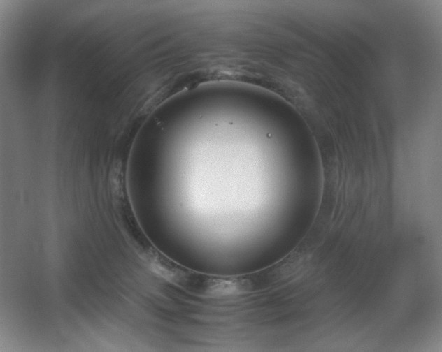 X0000067890083200604131339