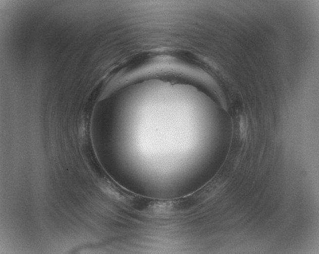 X0000067890084200604131339