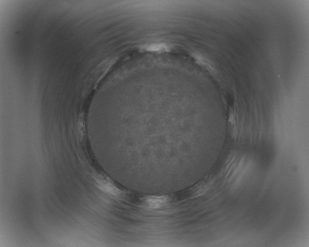 X0000067890085200604131339