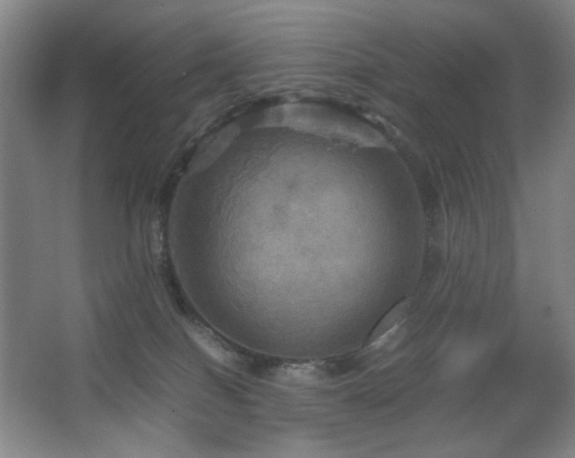 X0000067890086200604131339