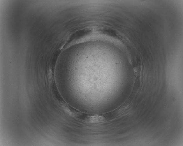 X0000067890087200604131339