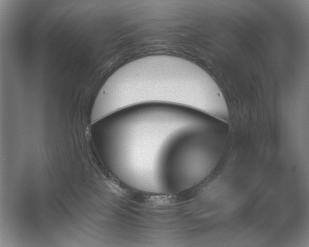 X0000067890089200604131339